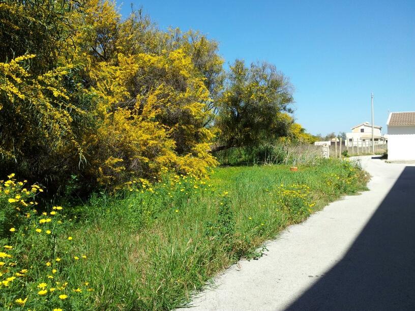 فيلا Casa Viale Lido مارزاميمي المظهر الخارجي الصورة